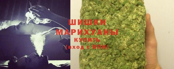 PSILOCYBIN Анива