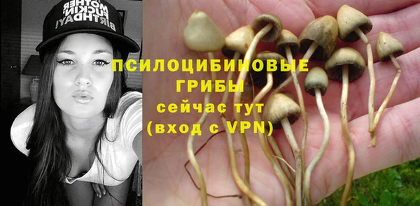 PSILOCYBIN Анива