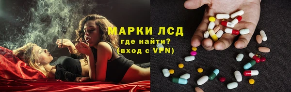 PSILOCYBIN Анива
