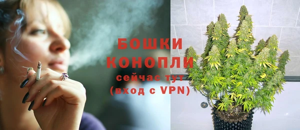 PSILOCYBIN Анива